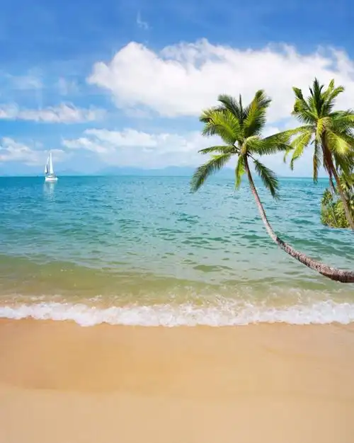 大海沙滩蓝天白云海边椰树风景主播拍视频段子直播背景布3d立体