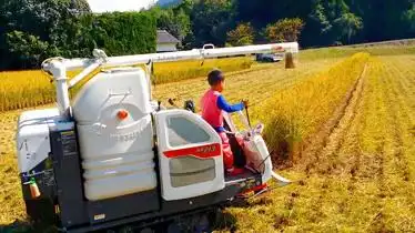 日本的迷你小型水稻收割机个头虽然小但是收割效率高