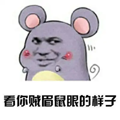 看你贱眉鼠眼的样子_眉鼠_样子表情