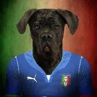 漫画狗头人身西装系列头像_微信头像图片大全