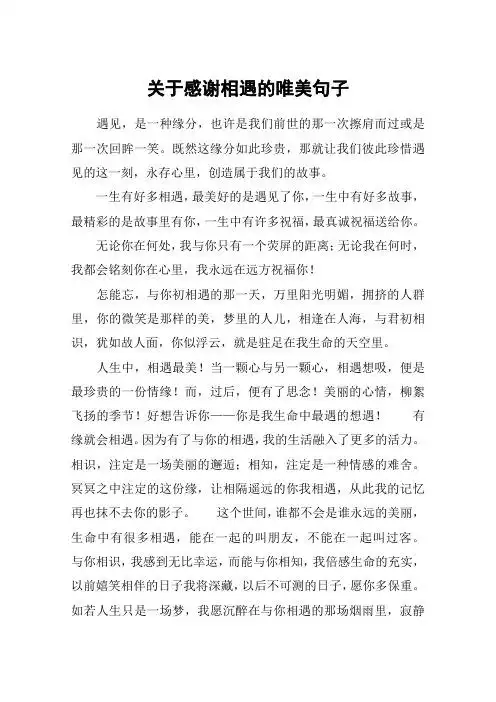 关于感谢相遇的唯美句子 遇见,是一种缘分,也许是我们前世的那一次擦