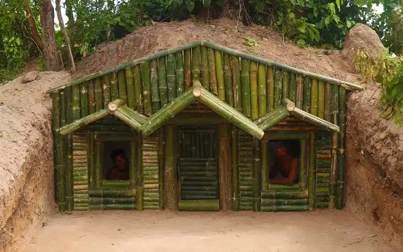 原始生存工具用竹子在树根下盖房子primitivesurvivaltool