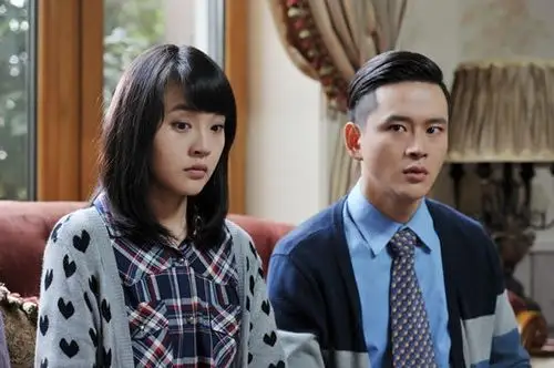 由张佳宁,黄明,刘莉莉,毕彦君等演员演绎的电视剧《左手亲情右手爱》