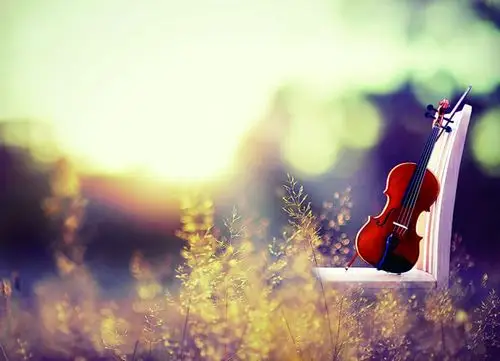 空弦练习_入门_小提琴_西洋乐器_知识_资讯_稻蕊咪音乐网