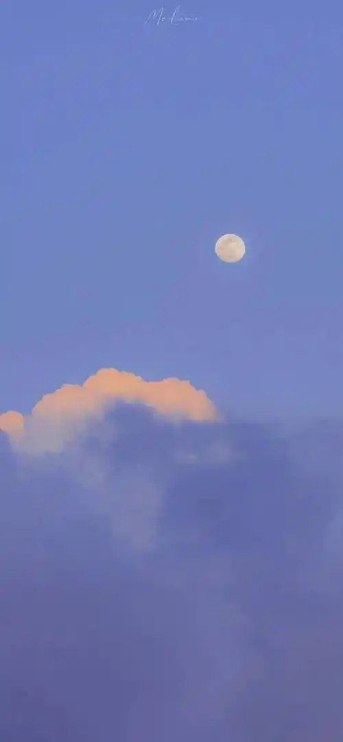 杂七杂八高级感壁纸背景图