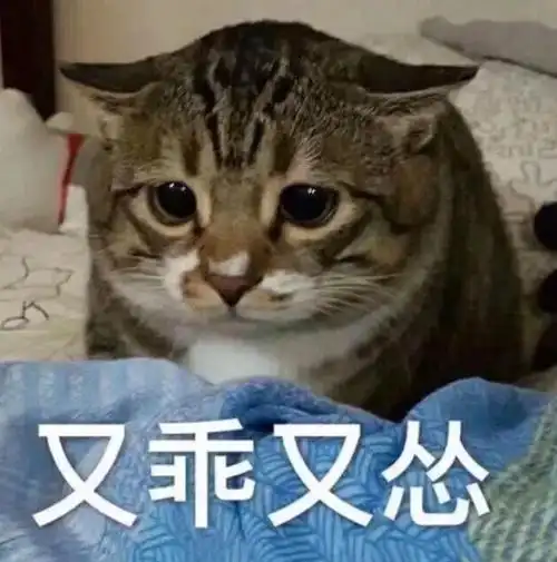 又乖又怂温客行