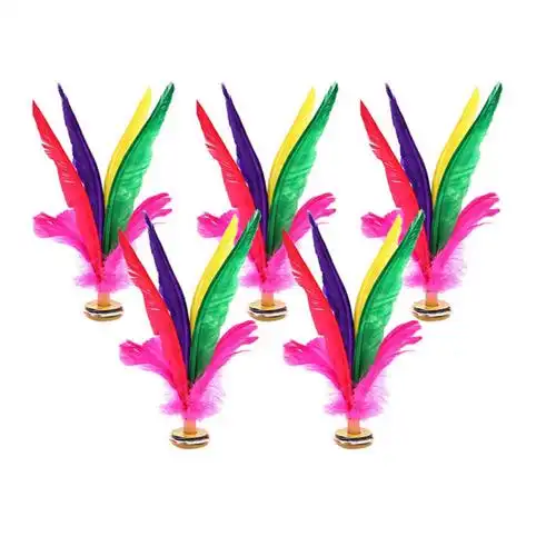 花色优品新健毽子1个装