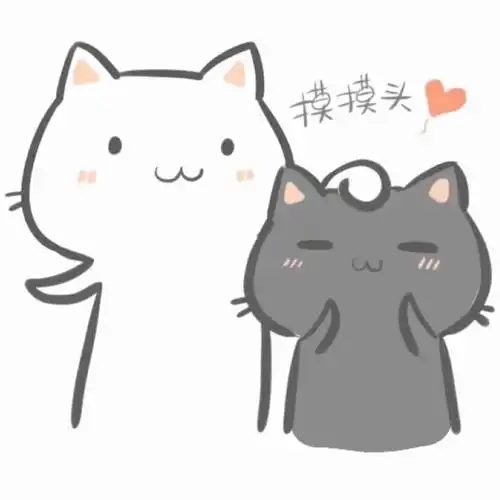 摸摸头情侣猫咪