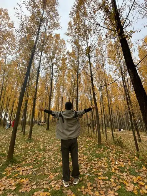 长安县白杨林公园