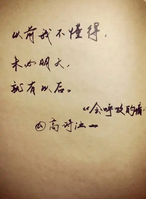 梁静茹歌词经典 情歌 壁纸 励志 青春爱情 丝路 会过去的 会呼吸的痛