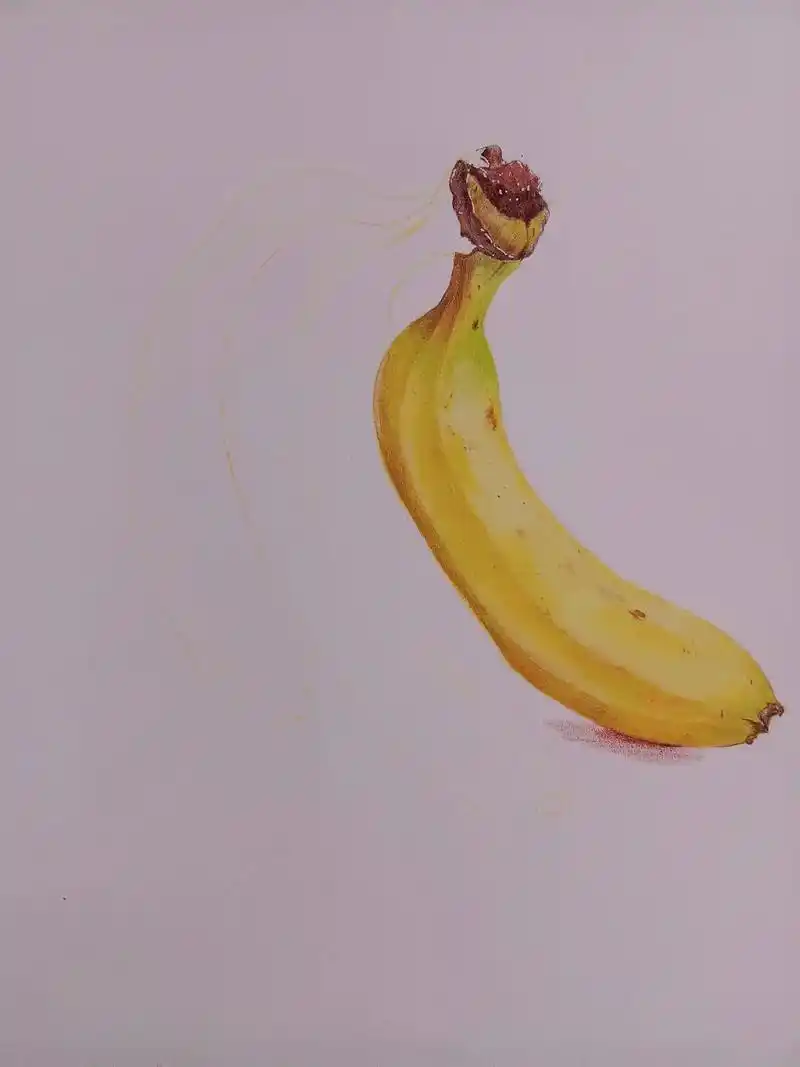 彩铅手绘  香蕉.#创作灵感 这个香蕉有谁要吃的吗?喜欢画画 - 抖音