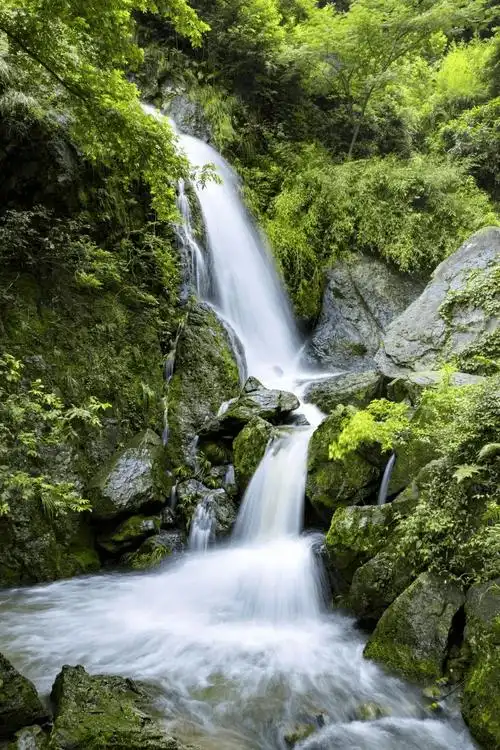 为了这抹绿,我专门去了趟绍兴_大自然_小布_吸氧