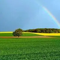 2021年最美风景图片头像_微信头像图片大全