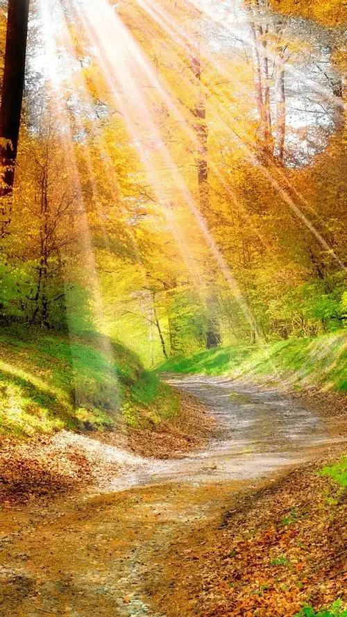 首页 自然与风景 秋天