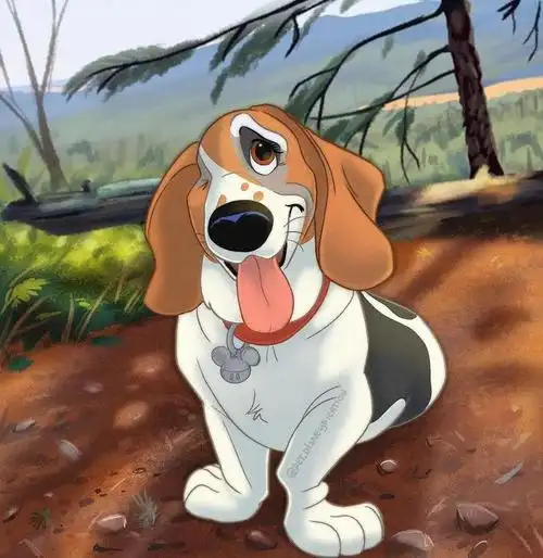 从流浪动物到迪士尼明星67网友我愿称之为魔法