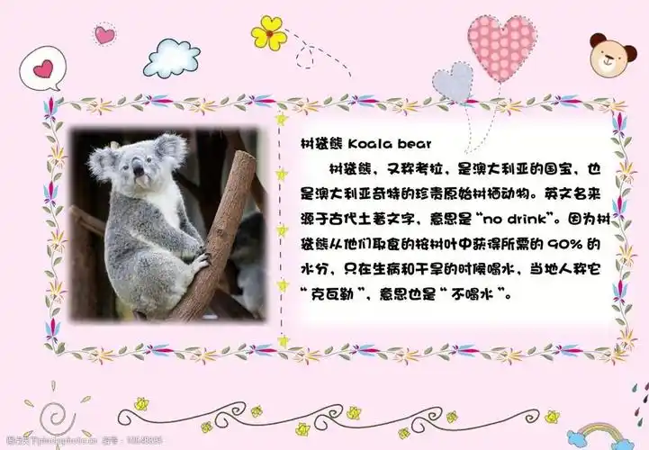 小学生动物卡片图片