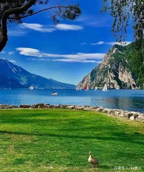 风景正好,安静淡然