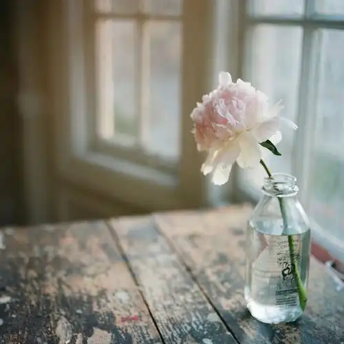 唯美图片等待 唯美小清新 -意境图片-唯美图片大全