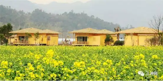 【上海崇明稀缺200亩休闲农庄项目分享】