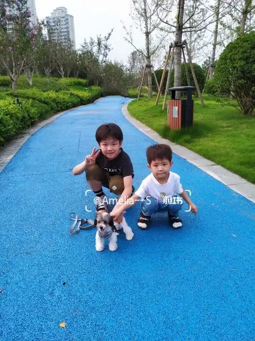 今天是可爱的三小只