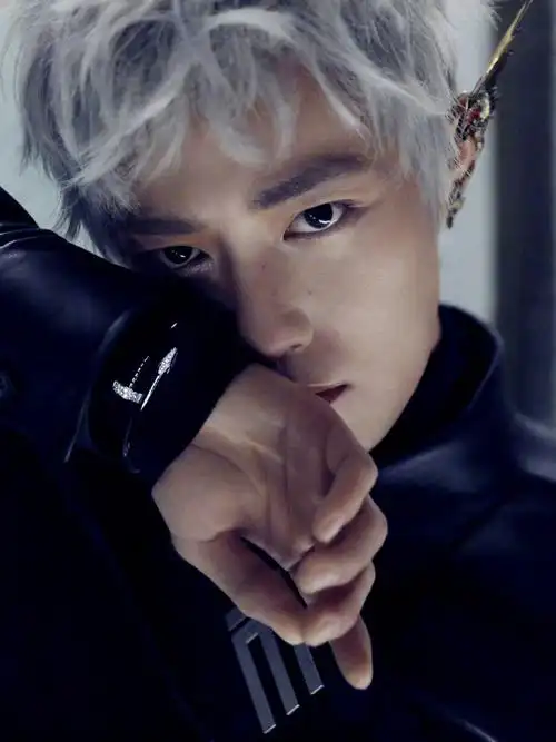 肖战超话#肖战早期与素人合照#回味一组肖战银发大片.