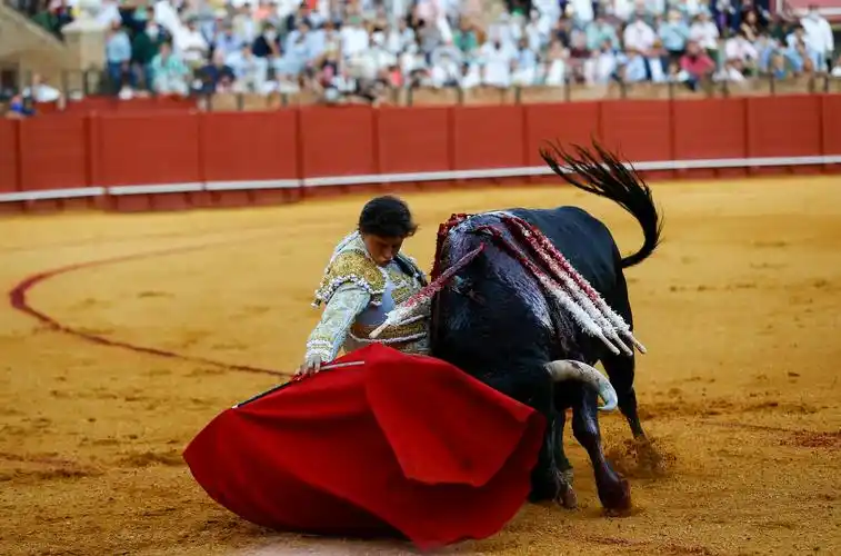 西班牙塞维利亚举行新冠疫情以来首次斗牛表演