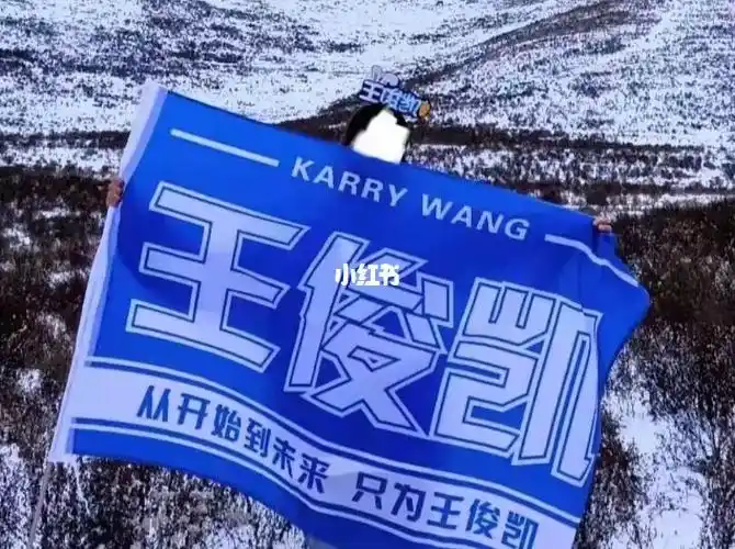 06王俊凯应援旗来了