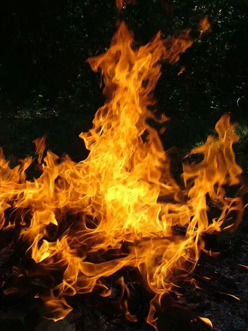 ps如何合成头顶冒火的霸气鹿王图片3