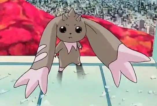 求几个萌黑大耳兽的图片我我紧急用啊要萌的!谢谢了