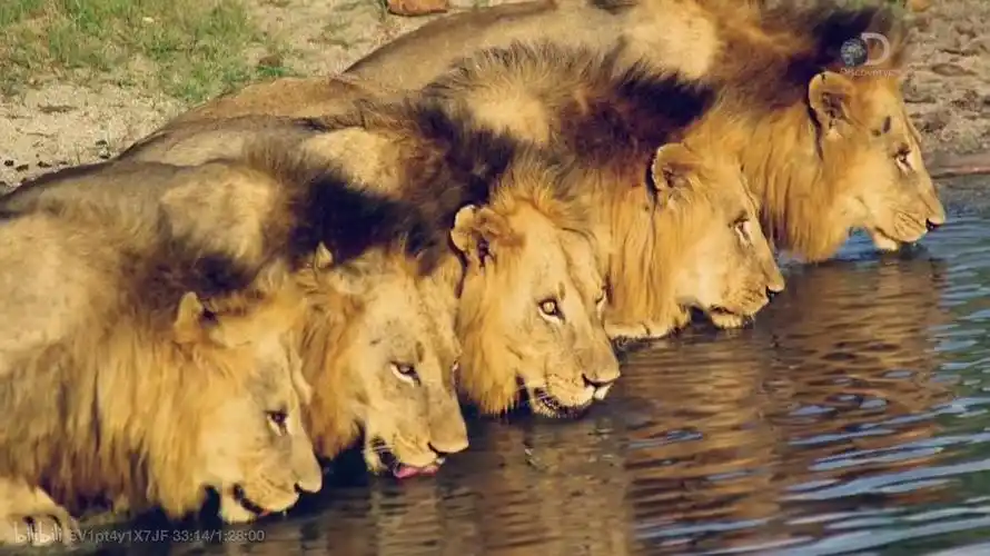 03大名鼎鼎的坏男孩联盟