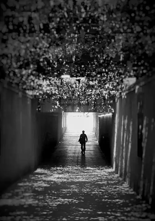 我和母亲在后面聊天,父亲走的快,我看到这个画面想到了朱自清的背影