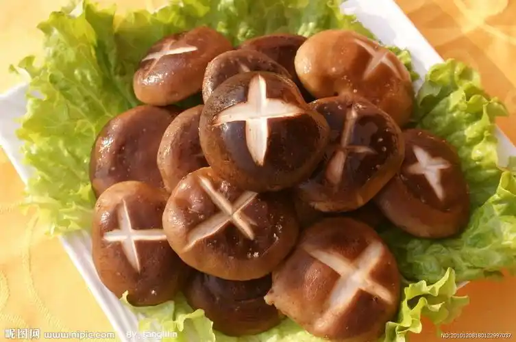 自贡福满堂大酒店