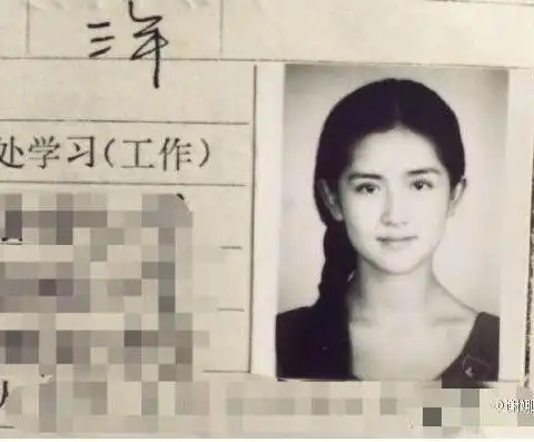谢娜晒黑白证件照 自称现在才十八岁