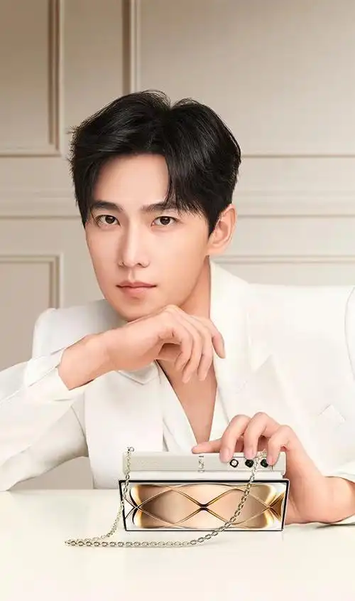 杨洋##荣耀vpurse全球代言人杨洋##杨洋代言荣耀vpurse