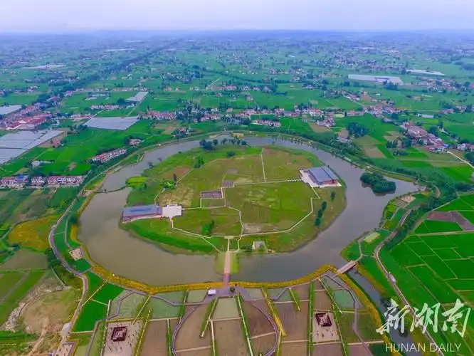 快来澧县城头山,看世界最早古稻田吧!