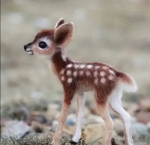 好可爱的小梅花鹿