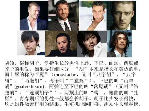 免费文档 所有分类 美容化妆 刮胡子的最佳时机ppt 胡须,俗称胡子