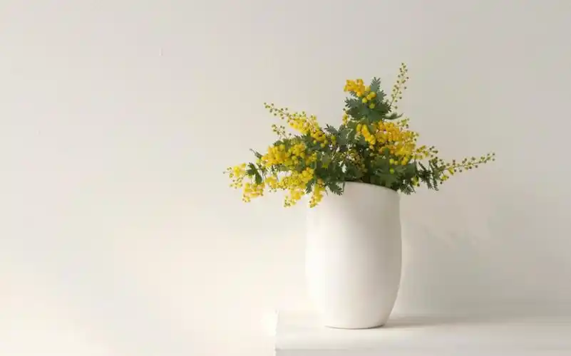 夏天清凉的壁纸 高清文艺清新壁纸