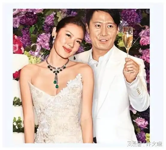 天王嫂又离婚了44岁乐基儿二度官宣离婚被曝与黎明复合