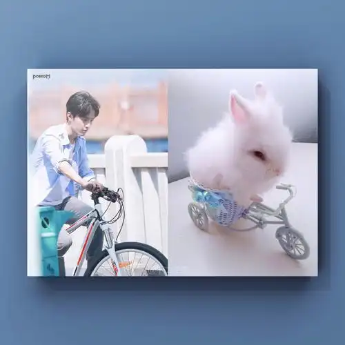 肖战与词牌##肖战与兔子##肖战是小兔子##肖战##向全世界安利肖战