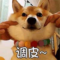 最美丽的祝福 qq文字表情 qq动态表情 qq爱情表情 qq节日表情 qq情人