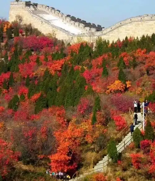 延庆区,是中国最早挂牌的国家森林公园之一,同时也是全国十大国家级