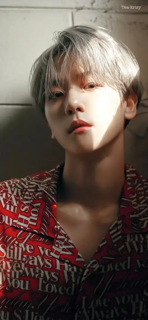 边伯贤人间仙子