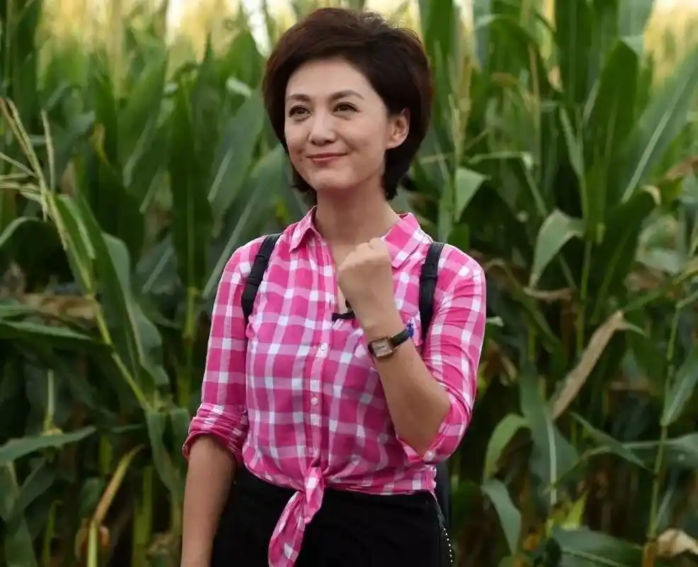 央视主持人海霞来了居然是为了