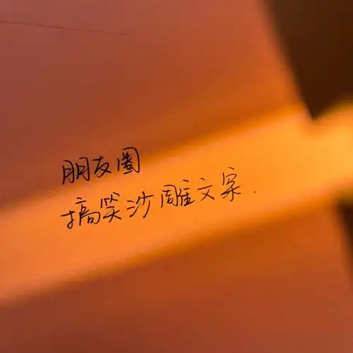 今日摘抄78沙雕幽默的朋友圈文案