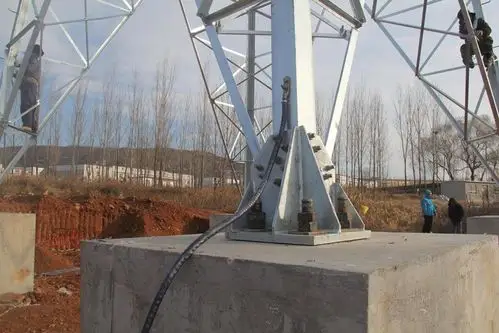 齐全-河北厂家石墨接地线新款上线石油化工防雷接地就用它