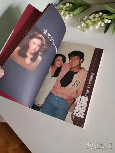 情海星空:我与刘德华