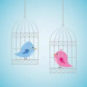 在监狱里的鸟两只鸟在不同的笼子里照片