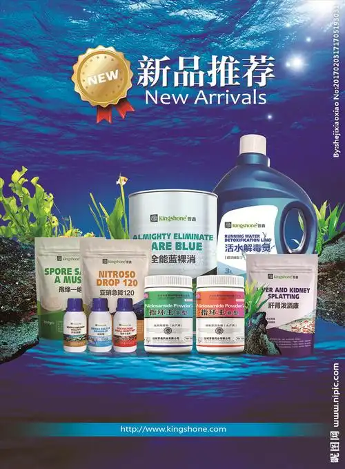 新产品推荐海报图片