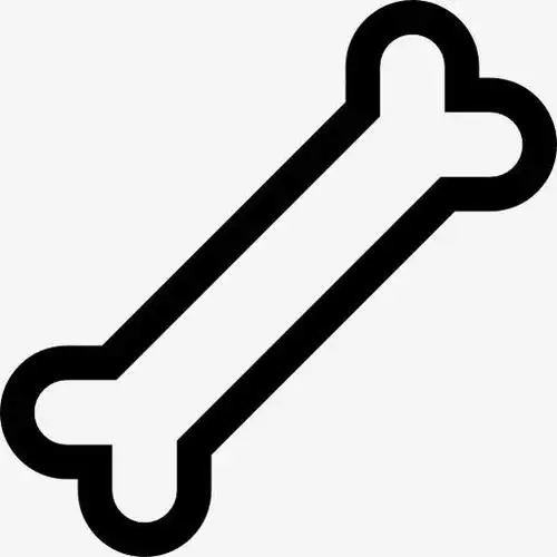 关键词 : 性质,医疗,医药,骨头,骨架,健康诊所,解剖